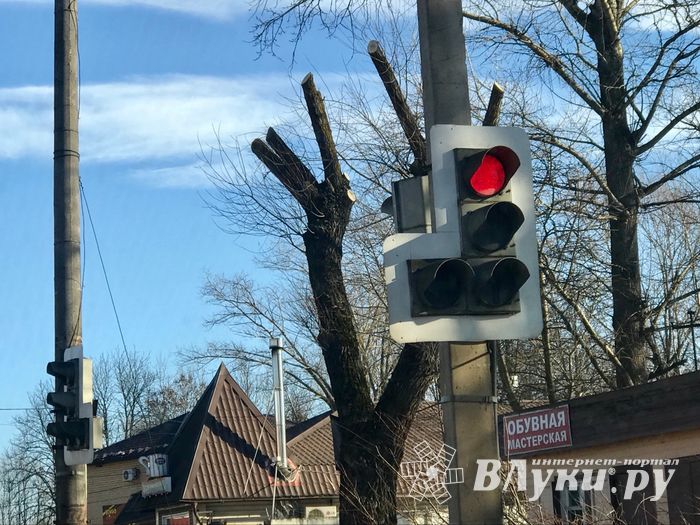В Великих Луках удаляют угрожающие гражданам ветви (ФОТО)