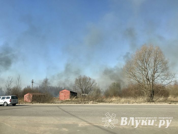 Пал травы угрожает строениям в Северном микрорайоне (ФОТО; ВИДЕО)