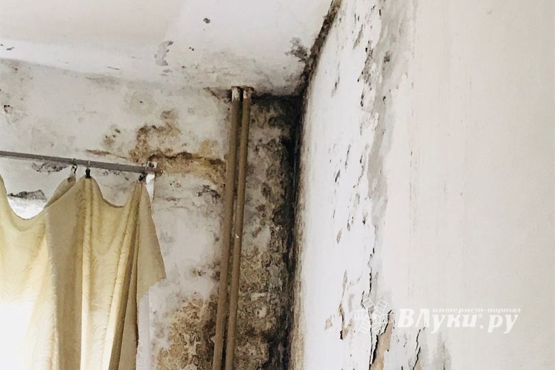 Районной больнице требуется лечение (ФОТО)