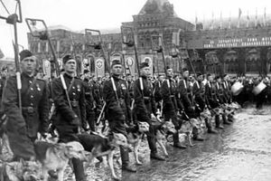 Кинологи себежской таможни рассказали школьникам о подвигах и буднях служебных собак (фото)