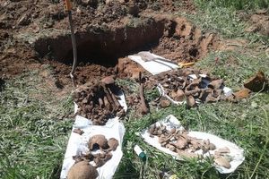 Поисковики отряда «Маргелов» обнаружили останки бойцов РККА (ФОТО)