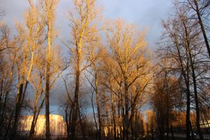 © ВЛуки.ру