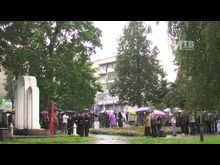 Импульс-ТВ: Митинг