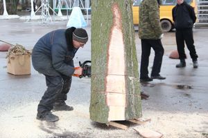 Сегодня в Великие Луки привезли главную новогоднюю ёлку (фото)