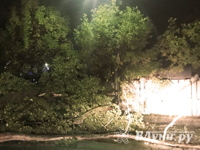 В Великих Луках стихия наломала немало (ФОТО)