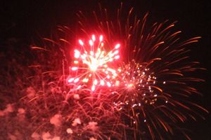 ​Праздничным концертом и салютом завершились празднования Дня Победы в Великих Луках (фото)