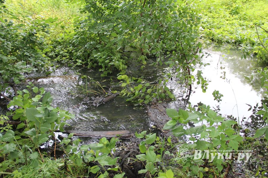 В Великих Луках устраняют серьёзную аварию в сетях канализации (ФОТО)