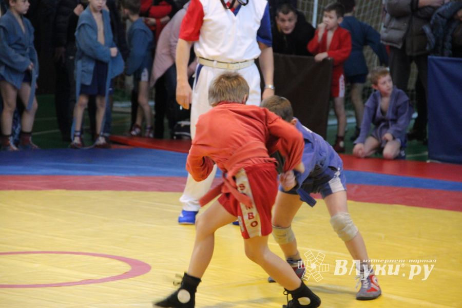 В Великих Луках проходит турнир самбистов (ФОТО)