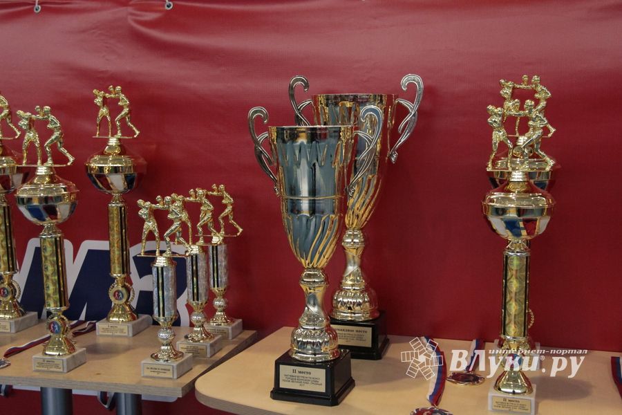 Матчевая встреча по боксу Великие Луки —Псков — Грозный (ФОТО)