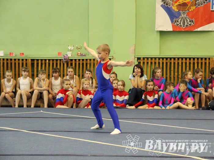 В Великих Луках состоялось Первенство по командной гимнастике (фото)