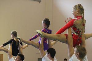 Парад гимнастики