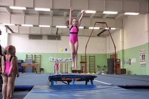 В Великих Луках прошло первенство по спортивной гимнастике (ФОТО)
