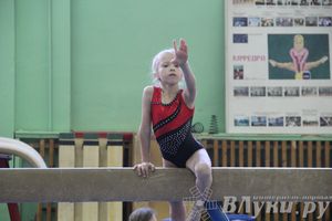 Открытый Кубок Псковской области по спортивной гимнастике