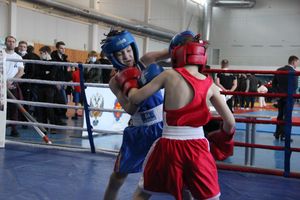 Фестиваль боевых искусств прошел в Великих Луках (ФОТО)