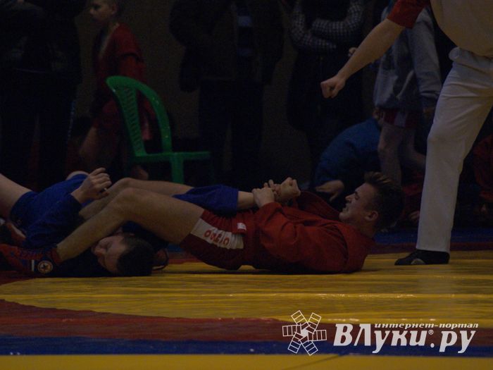 Великолучане завоевали призовые места на турнире по самбо «Память» (ФОТО)