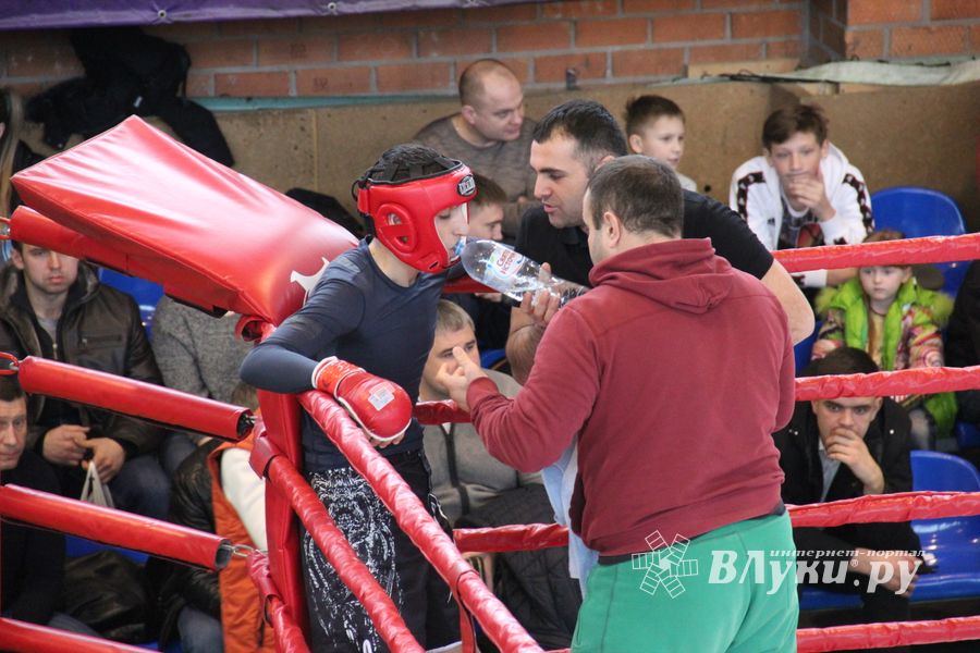 В Великих Луках прошел международный открытый Кубок по смешанному боевому единоборству (ФОТО) (16+)