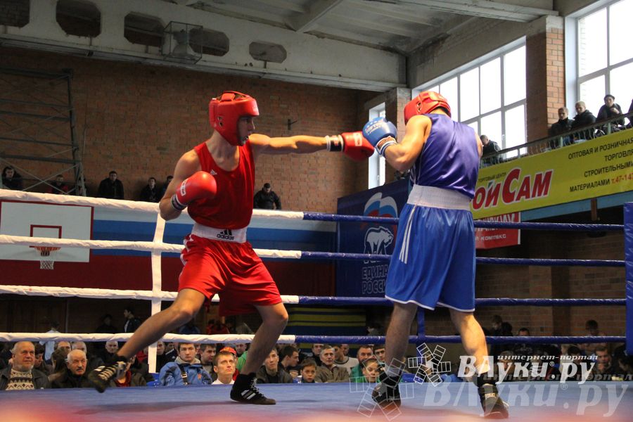 16-й Международный турнир по боксу (фото)