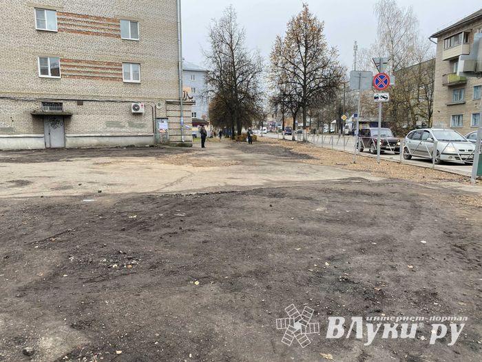 Пешеходам-великолучанам советуют не пользоваться смартфонами (ФОТО)