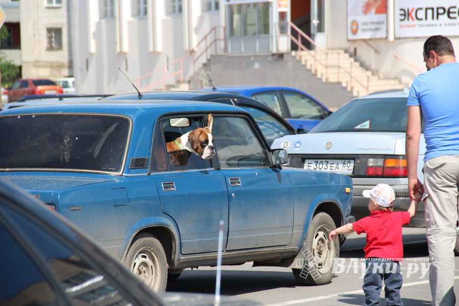 Фотоконкурс "КрасиваЯ!". Вручение призов