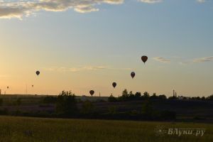 Фото с сайта flymonitor.ru