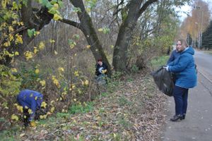 Педагоги лицея №10 провели субботник (ФОТО)