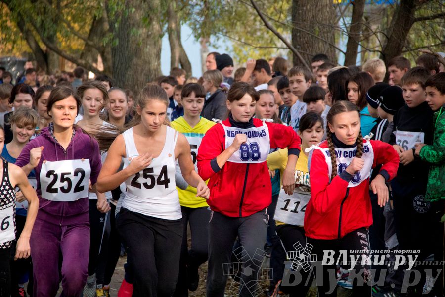 В Великих Луках прошел «Осенний кросс» 