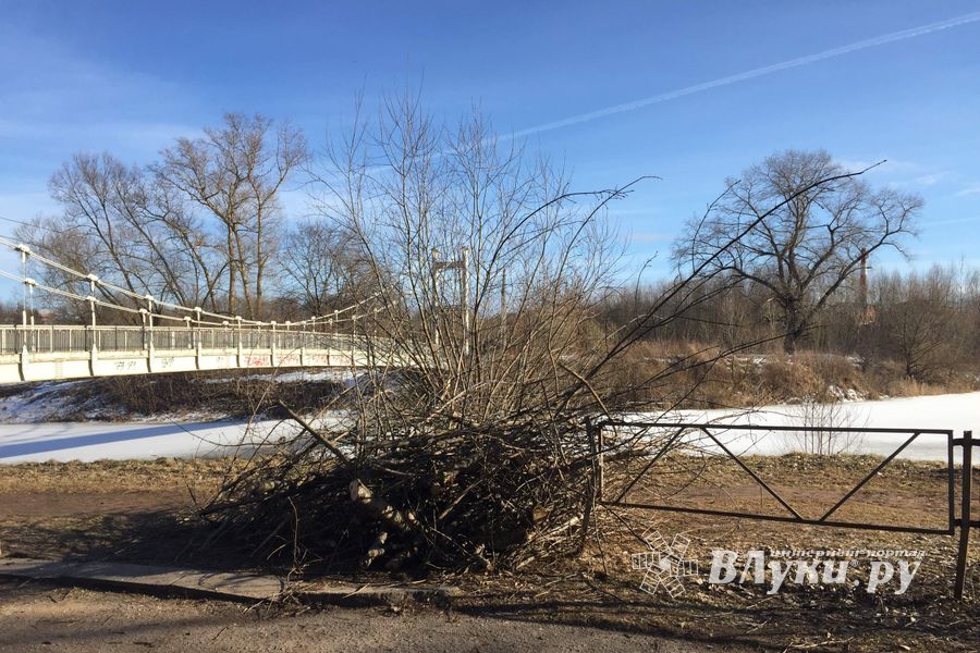 В УЖКХ Великих Лук объяснили спил деревьев возле пешеходного моста (ФОТО)
