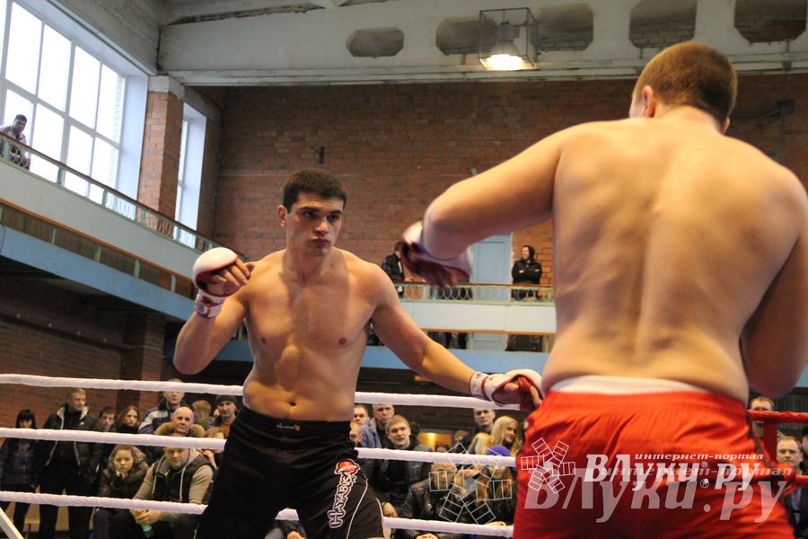 В Великих Луках прошел межрегиональный Открытый Кубок по смешанному боевому единоборству (фото)