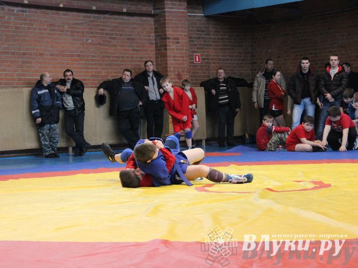 Состоялось Открытое первенство города Великие Луки по борьбе самбо