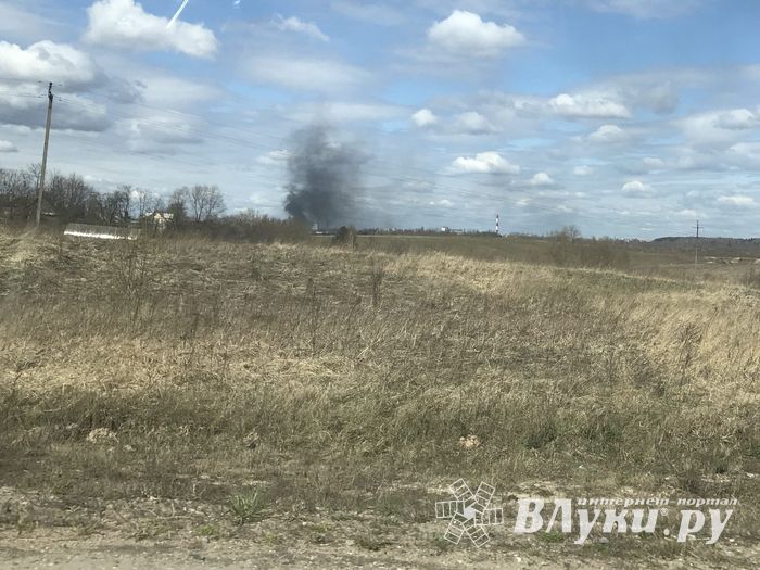 В Псковской области возобновились палы травы (ФОТО)
