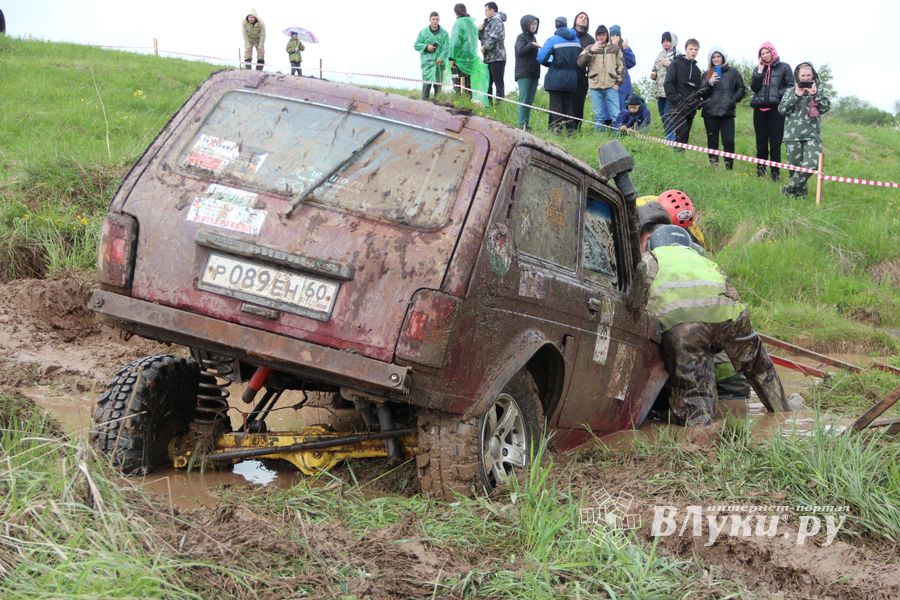 Кураж (ФОТО)