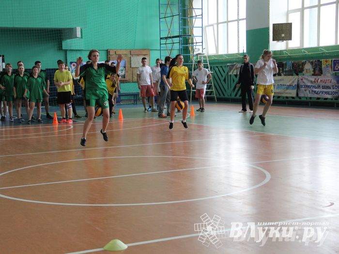 В Великих Луках прошли соревнования на Кубок Красного Креста