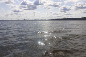 ©ВЛуки.ру