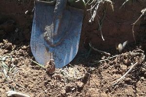 Поисковики отряда «Маргелов» обнаружили останки бойцов РККА (ФОТО)