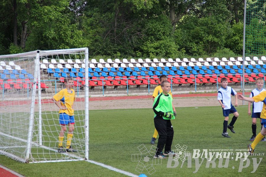 «Локобол-2013» в Великих Луках