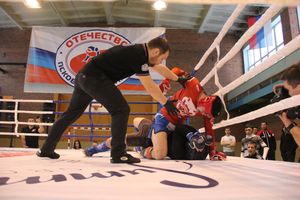 В Великих Луках прошел международный открытый Кубок по смешанному боевому единоборству (ФОТО) (16+)