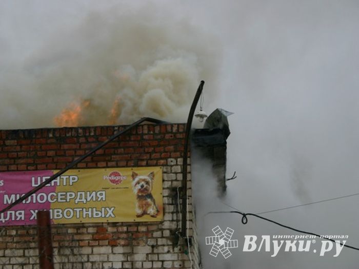 Неисправная печь в приюте для животных спровоцировала пожар