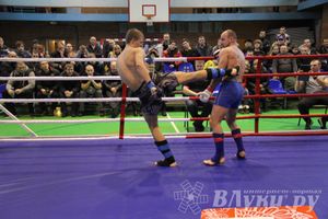 В Великих Луках прошел межрегиональный Открытый Кубок по смешанному боевому единоборству (фото)