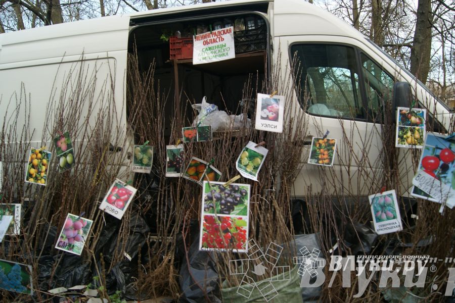 Весенняя ярмарка 2013 прошла в Великих Луках