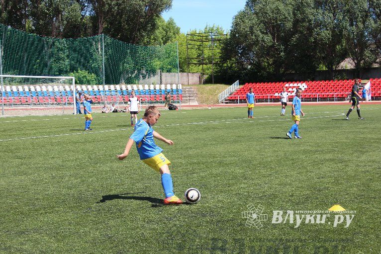 «Локобол-2013»: Великие Луки-Кировск