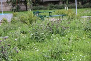 Новый арт-объект появился в Великих Луках (ФОТО)