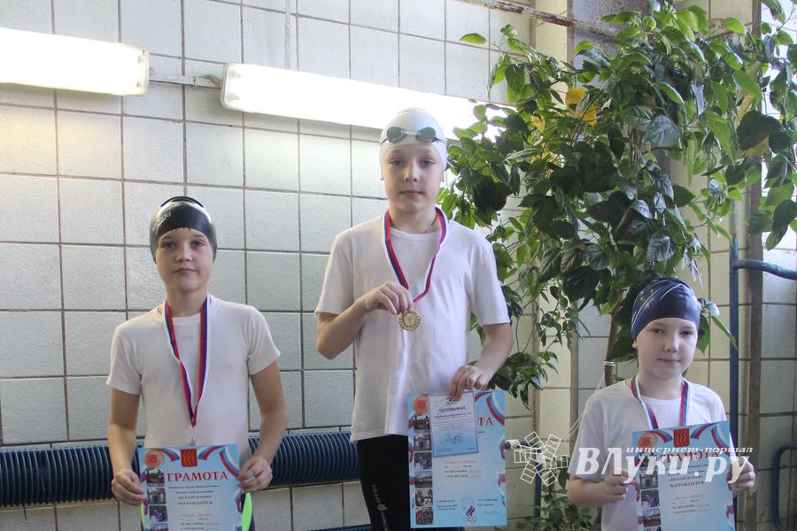 В Великих Луках прошли соревнования по плаванию «Весёлый дельфин»