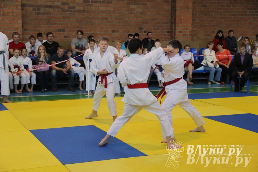 Великолучане стали победителями турнира по каратэ «Неприкосновенный запас, дети — Отчизны 2015» (фото)