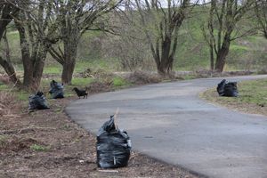 На острове Дятлинка проходит субботник