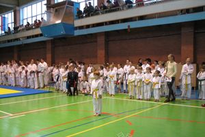 Кубок Псковской области по каратэ прошел в Великих Луках (фото)