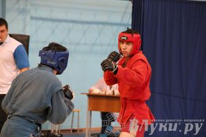 Первенство Псковской области по самбо