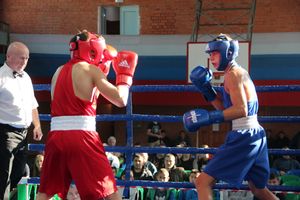 В Великих Луках прошел турнир по боксу памяти Е. Клевцова (ФОТО)