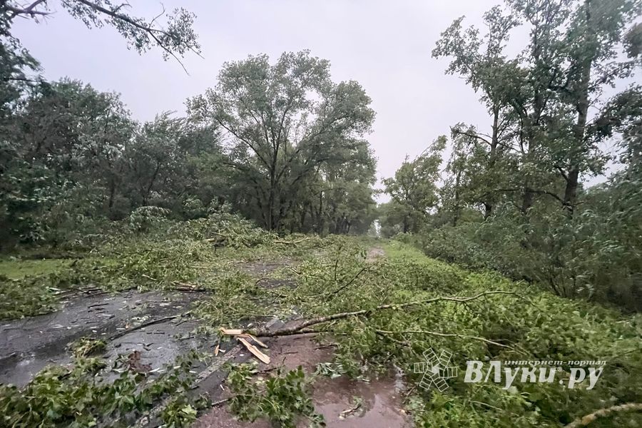 Весь ужас вчерашнего урагана в Великих Луках и районе (ФОТО, ВИДЕО)
