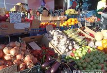 Сельскохозяйственная ярмарка «Осень-2025» пройдет в посёлке Бежаницы