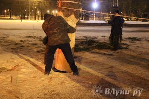 В Великих Луках установили новогоднюю елку (фото)